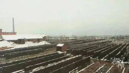 湘湖边58米大烟囱 城市记忆与时代演进的抉择